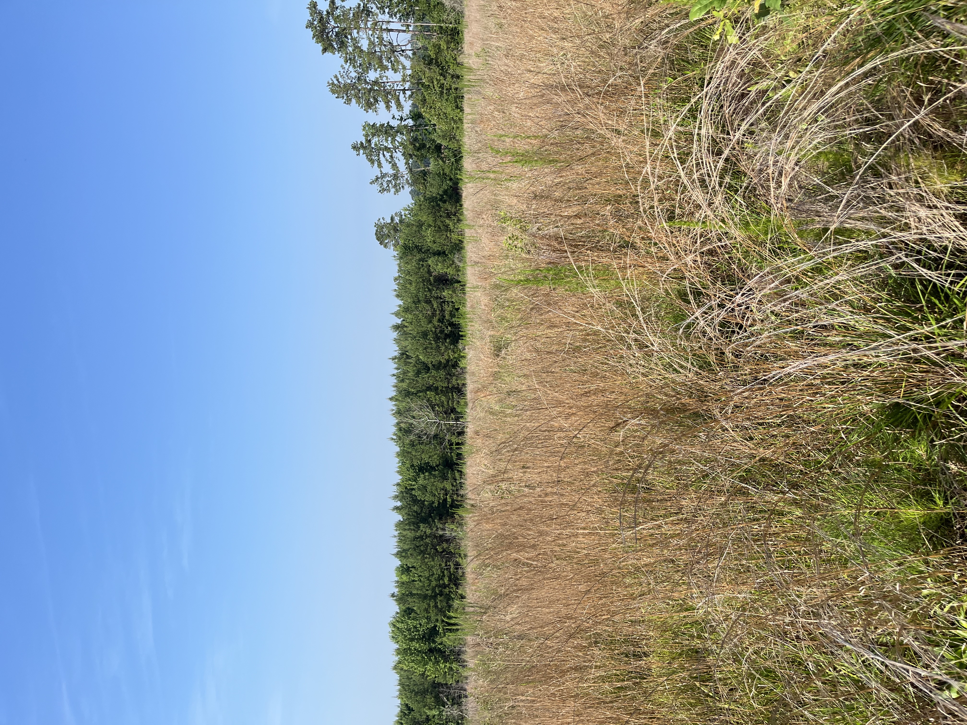 TBD Davis Haywood Rd 